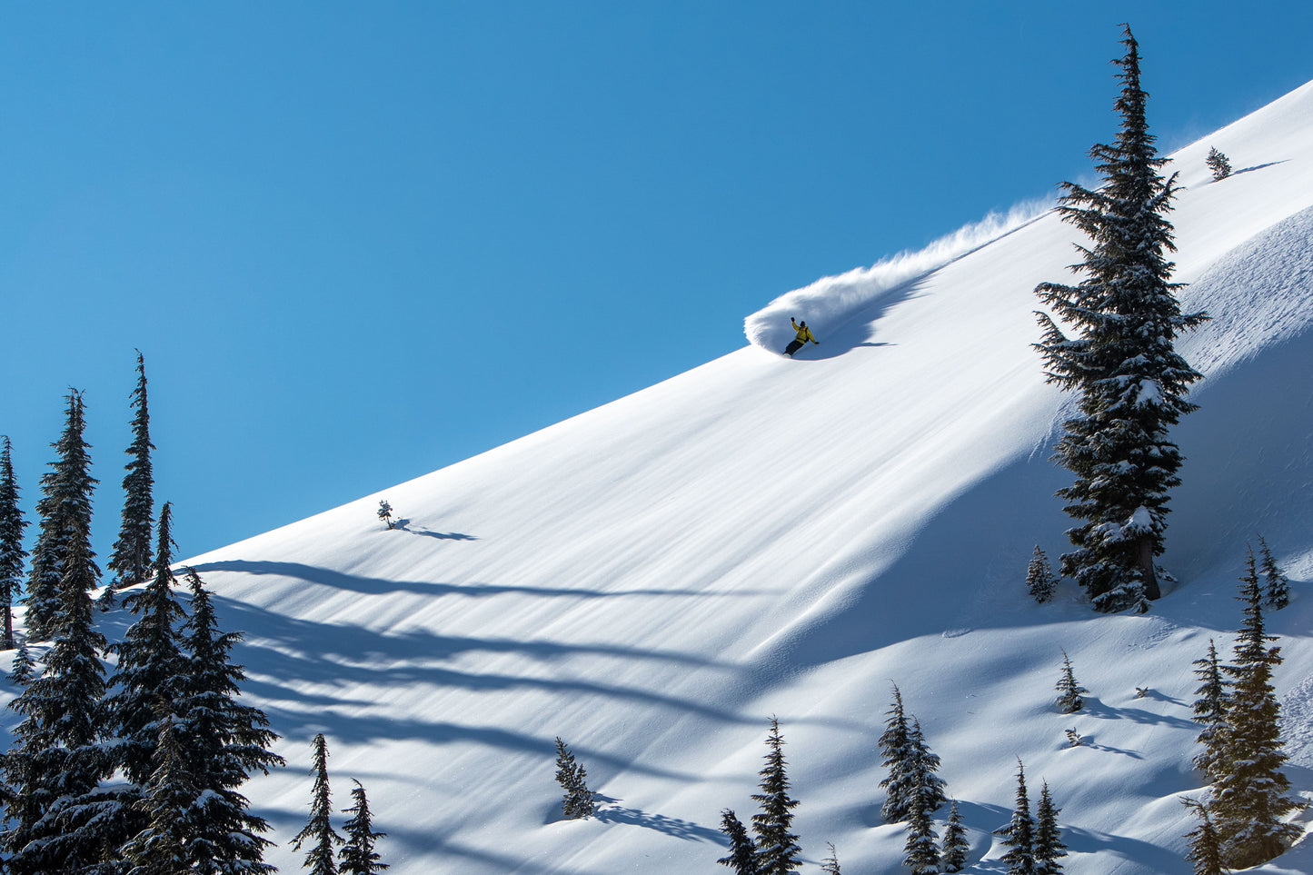 Layin In - Photography by Pete Alport