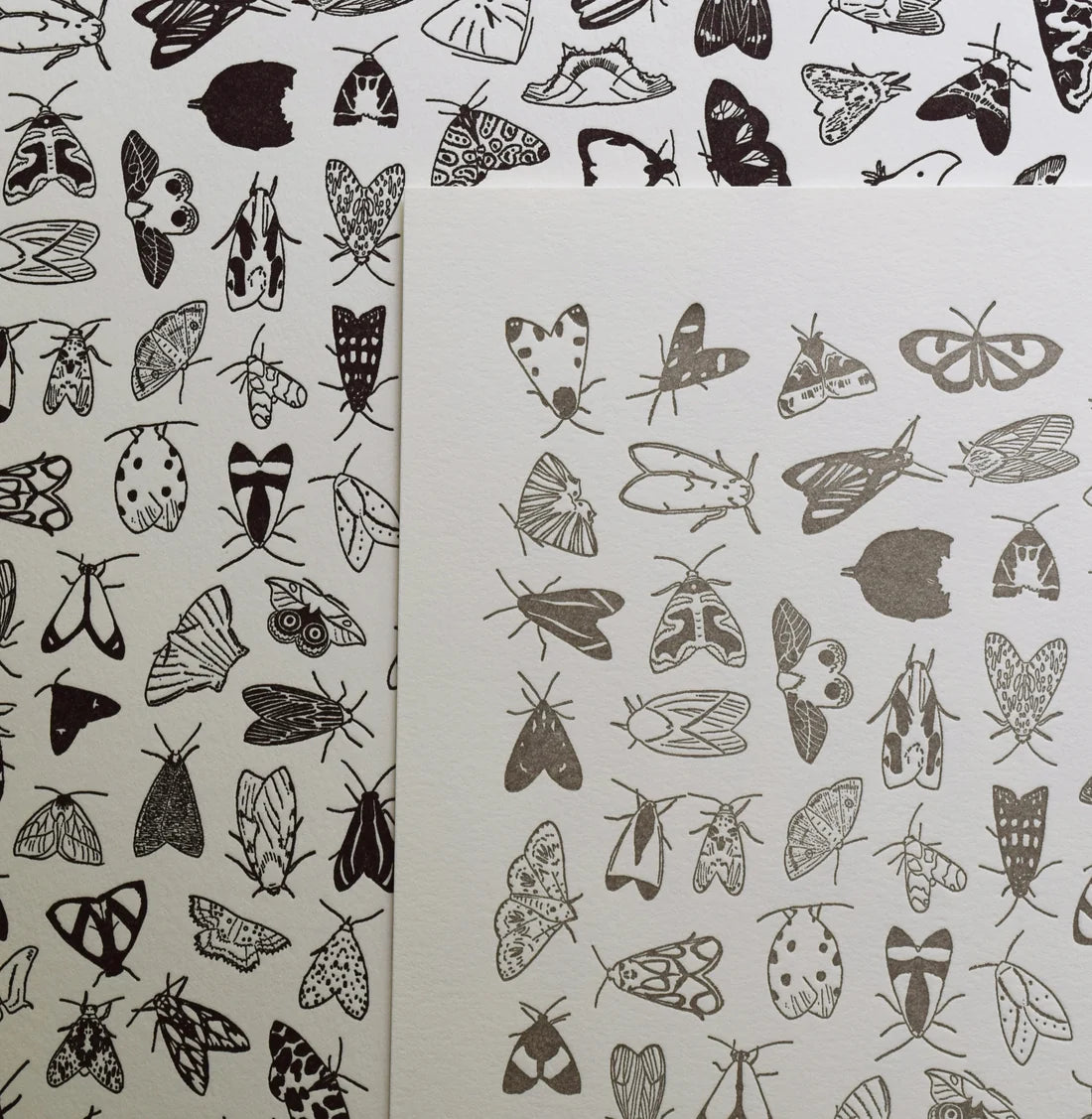 Moths Print by Quail Lane Press