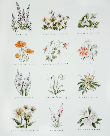 PNW Wildflower Print by Charlotte Wallace