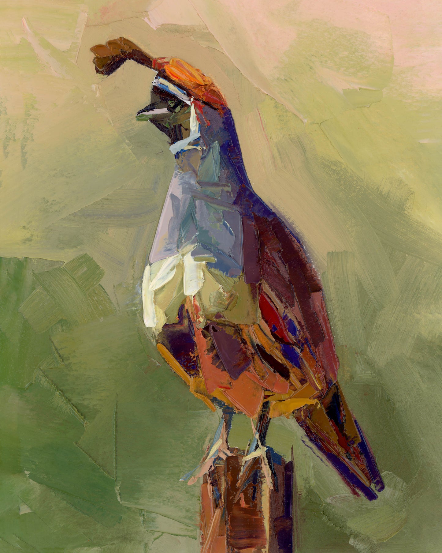 Quail Fine Art Print by Taylor Manoles