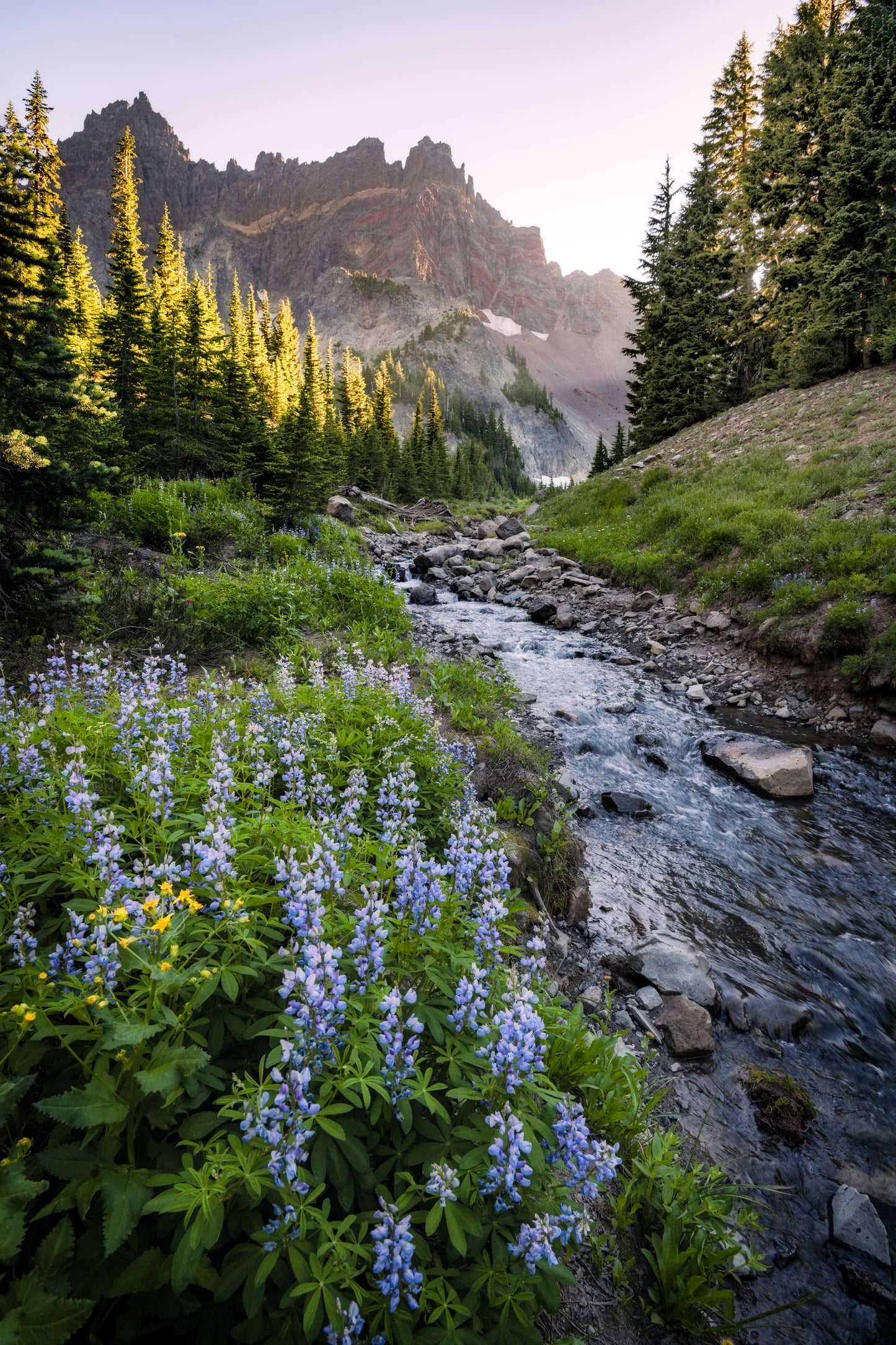 Framed - Three Fingered Jack Canyon Creek 2 by Extreme Oregon