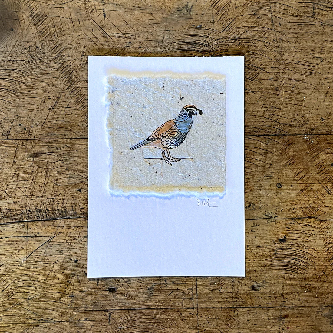 Bird Letterpress Prints on Handmade Paper by Green Bird Press