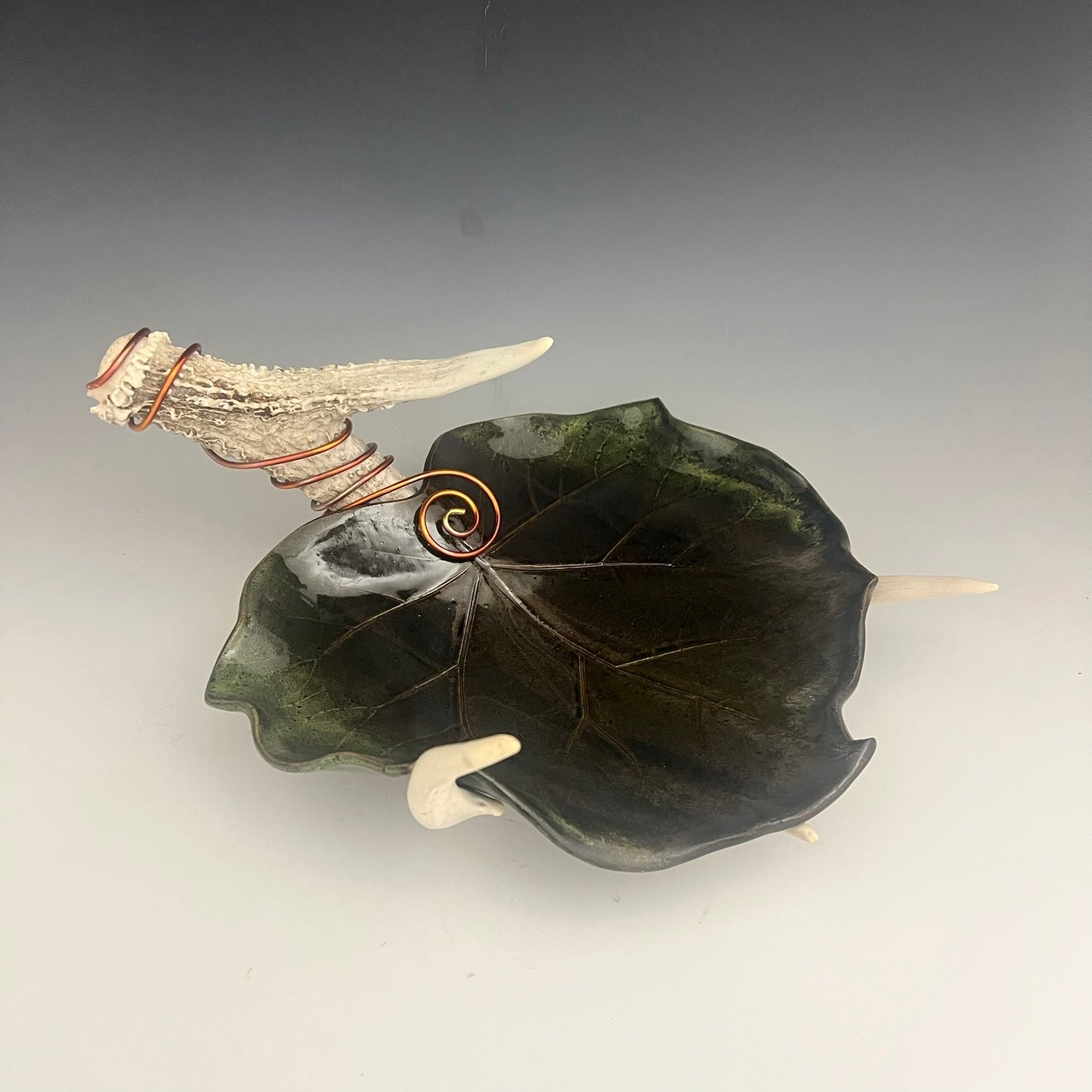 Ceramic Leaf on Deer Antler by Muddy Creek Studio
