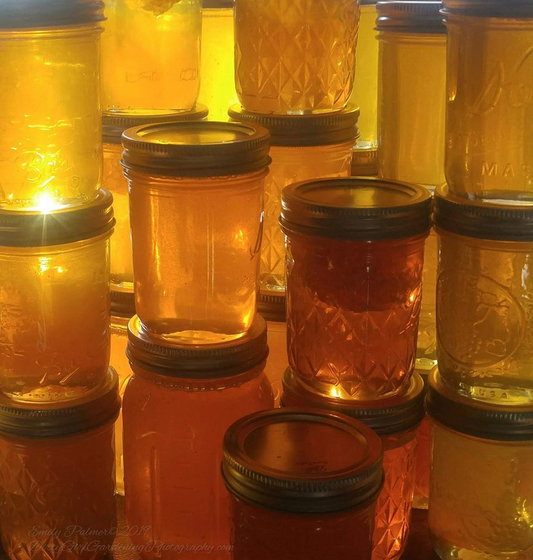Central Oregon Raw Honey by The Royal Bee