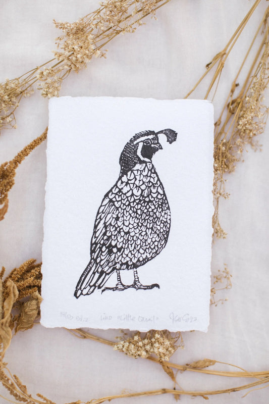 Little Quail - linocut Print by Kelsi Cross