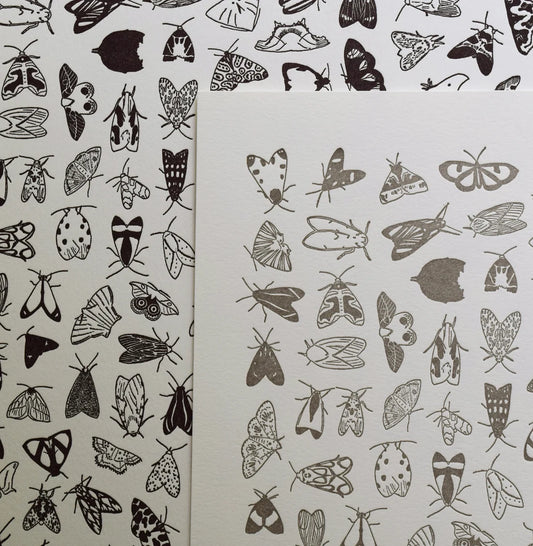 Moths Print by Quail Lane Press