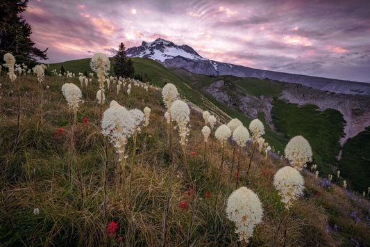 Paradise Park Sunrise by Extreme Oregon