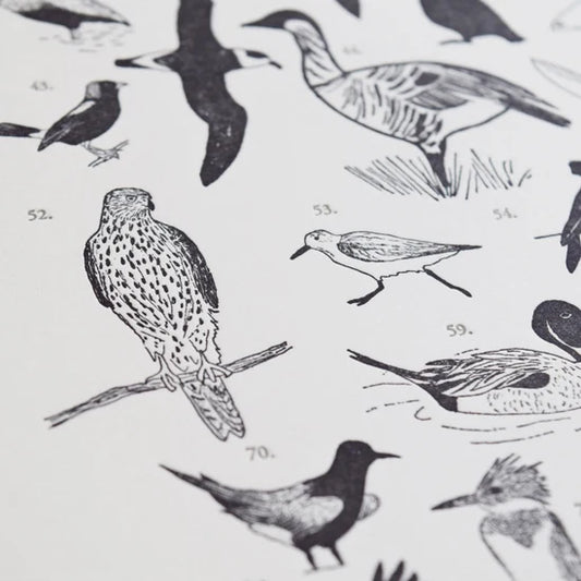 100 Birds Print by Quail Lane Press