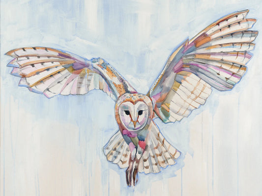 Framed - Barn Owl by Sheila Dunn